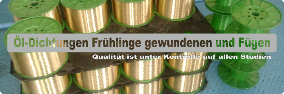 Öl-Dichtungen Frühlinge gewundenen und Fügen
