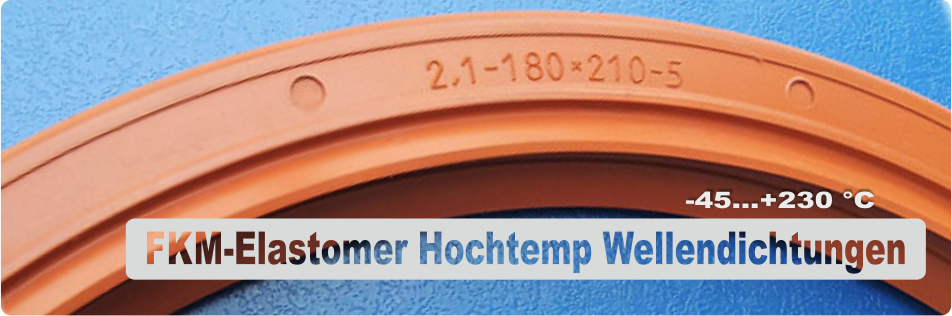 FKM-Elastomer Hochtemp Wellendichtungen