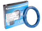 Radial-Wellendichtringe (RWDR) AS 75x95x12 NBR-440 blau DIN 3760