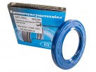 Radial-Wellendichtringe (RWDR) AS 65x100x10 NBR-440 blau DIN 3760 9905871895 (FORTSCHRITT)