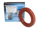 Rotary Shaft Seal AS 48x72x10 FKM DIN 3760