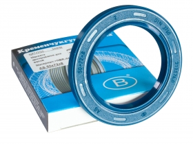 KrRT-7312S-AS-50x72x8-NBR-440-blue-01-6.jpg